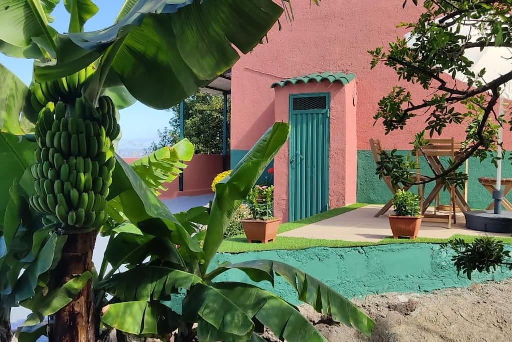 Casa Mamatina, En Los Realejos Exterior photo
